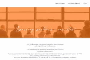 Site Butterfly Solutions - Page d'accueil avec vidéo (FRA) Site Butterfly Solutions - Page d'accueil avec vidéo (français)