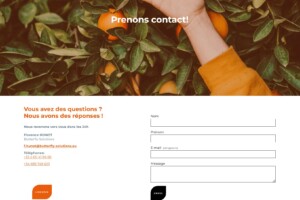 Site Butterfly Solutions - Formulaire de contact Site Butterfly Solutions - Formulaire de contact