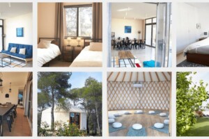 Site Butterfly Shelter - Galerie de photos des espaces de l'écolodge Site Butterfly Shelter - Galerie de photos des espaces de l'écolodge