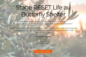 Site Butterfly Shelter - Calendrier des prochaines sessions des stages Site Butterfly Shelter - Calendrier des prochaines sessions des stages