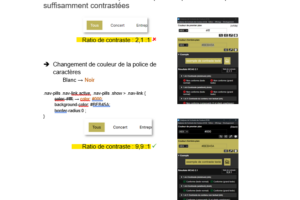 Site Nina Carducci - Aptimisation des contrastes pour l'accessibilité (avant / après) Site Nina Carducci - Aptimisation des contrastes pour l'accessibilité (avant / après)