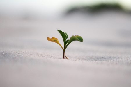 jeremy-bishop-vGjGvtSfys4-unsplash jeremy-bishop-vGjGvtSfys4-unsplash